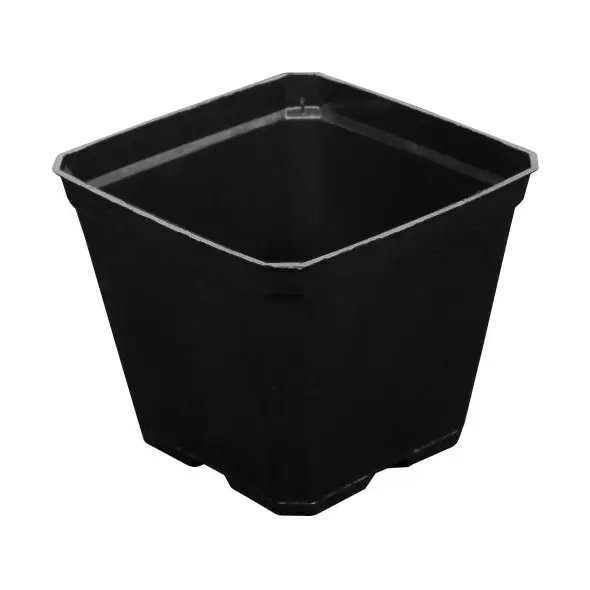 Gro Pro Black Plastic Pot 3.5 in x 3.5 in x 3 in (800/Cs)