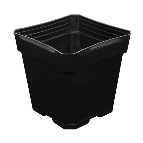 Gro Pro Black Plastic Pot 5.5 in x 5.5 in x 5.75 in (200/Cs)
