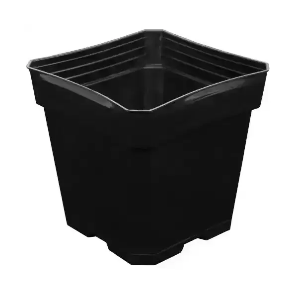 Gro Pro Black Plastic Pot 5.5 in x 5.5 in x 5.75 in (200/Cs)