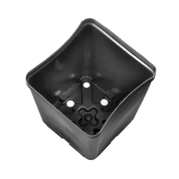 Gro Pro Square Plastic Pot 5.5 in x 5.5 in x 6 in (200/Cs)