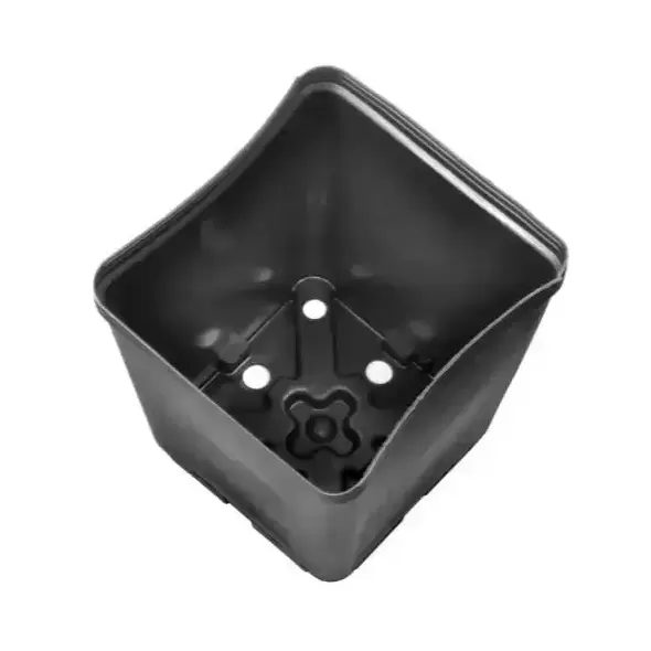 Gro Pro Square Plastic Pot 5.5 in x 5.5 in x 6 in (200/Cs)