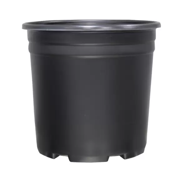 Thermoformed Nursery Pot 2 Gallon