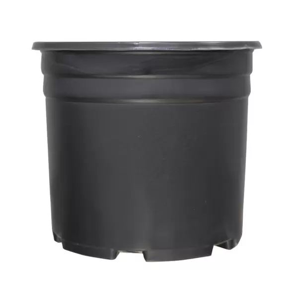 Thermoformed Nursery Pot 3 Gallon