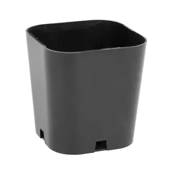 Super Sprouter Singled Out Propagation Pot 2 in (50/Bag)