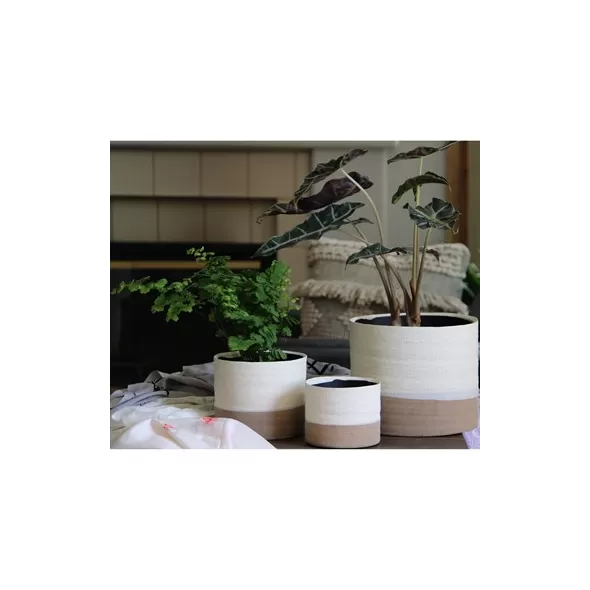 Jewel 6" Mug Pot IVS