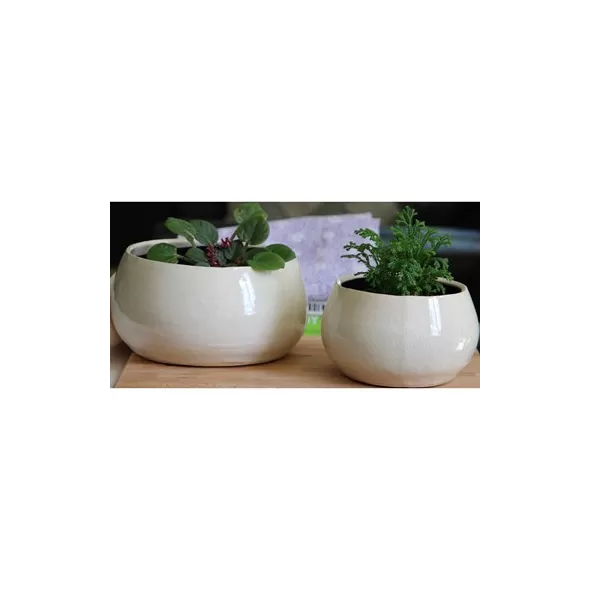 Jewel 8.5" Freeform Bowl Ivc