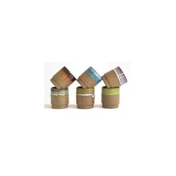 PHG Floret Succulent Cup Mixed Drift Glaze Set of 12