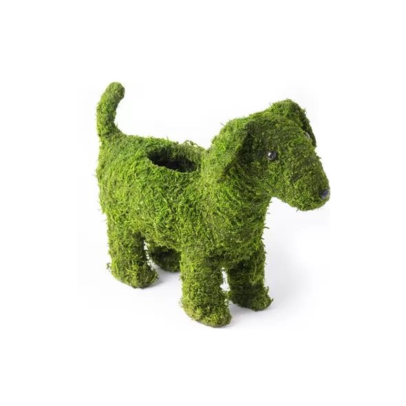 SuperMoss Puppy Planter