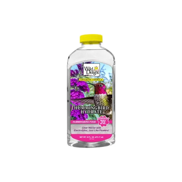 Wild Delight 16oz Hummingbird Hydrate Concentrate
