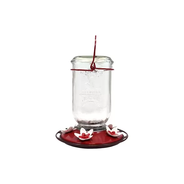 Perky Pet Mason Jar Hummingbird Feeder Clear