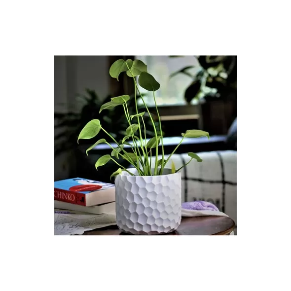 Fiesta Art Decor 4.5" Round Pot