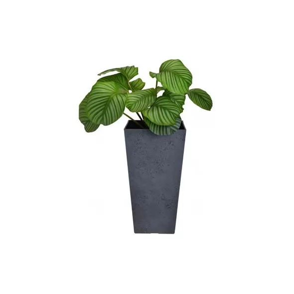 Austram 11" x 6" x 20" Vizcaya Vase Anchor Grey