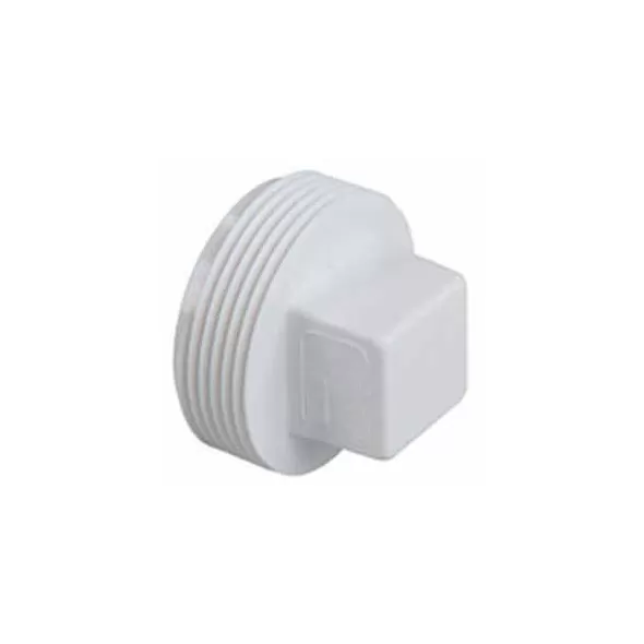 Dwv-Pvc Male Plug 2"