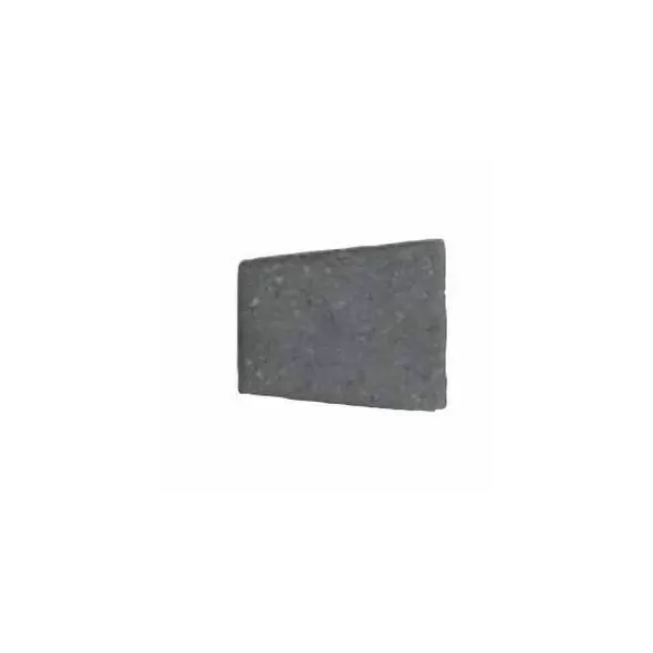 Paver Stone, Large Circle Minnesota River Cracovia Circle