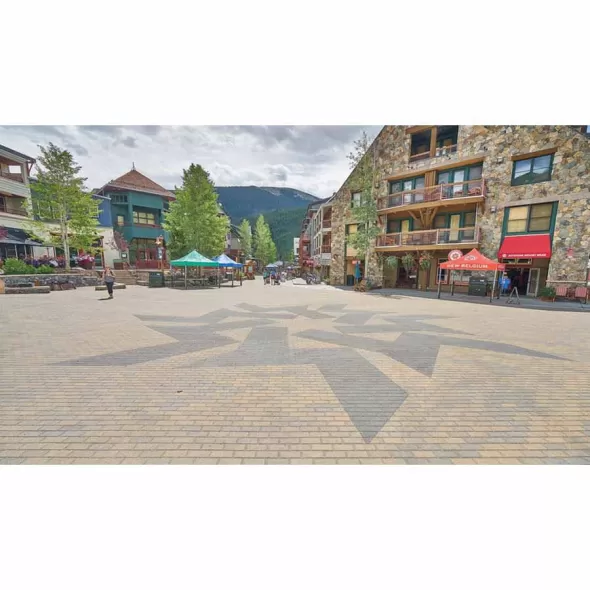 Paver Stone, 4" x 8" Rectangular Old Town Blend Holland