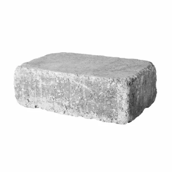Paver Stone, 7" x 10.5" x 3.5" Rectangular Winter Blend Large RumbleStone