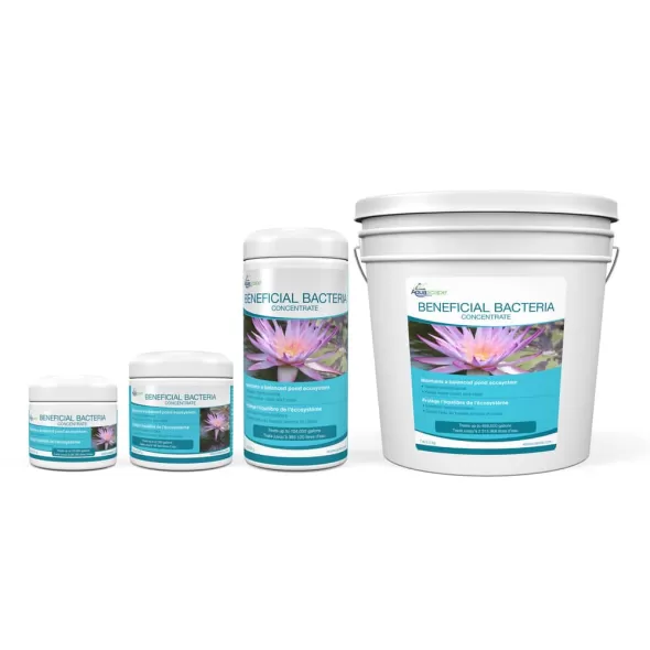 Beneficial Bacteria, 1 gal Cold Water