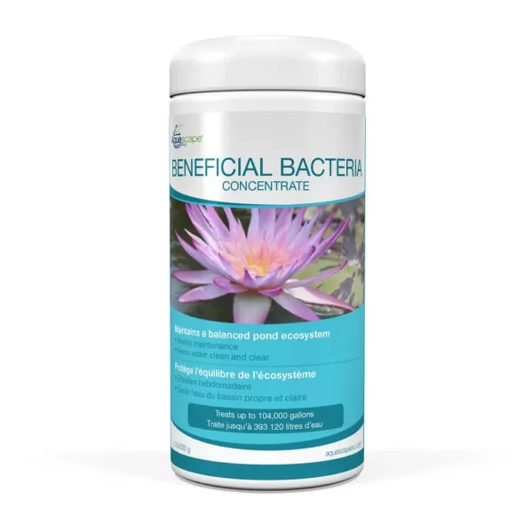 Beneficial Bacteria, 1 gal Cold Water