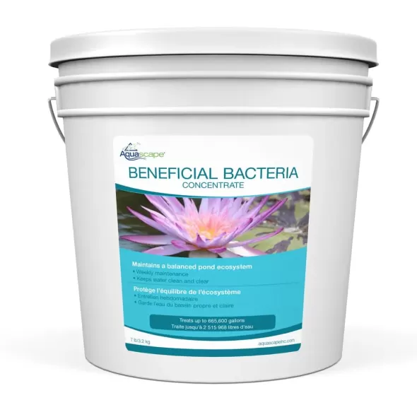 Beneficial Bacteria, 1 gal Cold Water