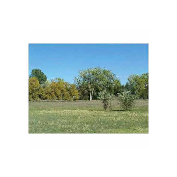 25 lb Bag Foothills Mix Grass Seed