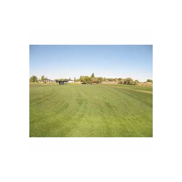 25 lb Bag Supreme Lawn Mix Grass Seed