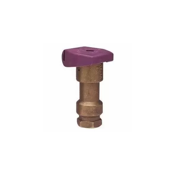 Quick Coupling Valve, 1"FNPT Red Brass 150 psi QCV Series 1-Piece
