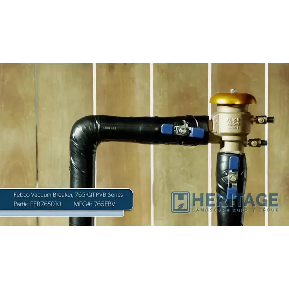 Febco 765 PVB Backflow Preventer 1" FPT