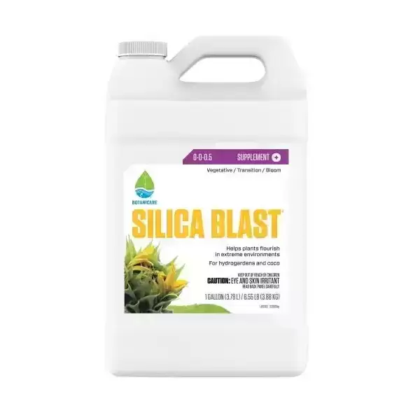 SILICA BLAST 1GAL