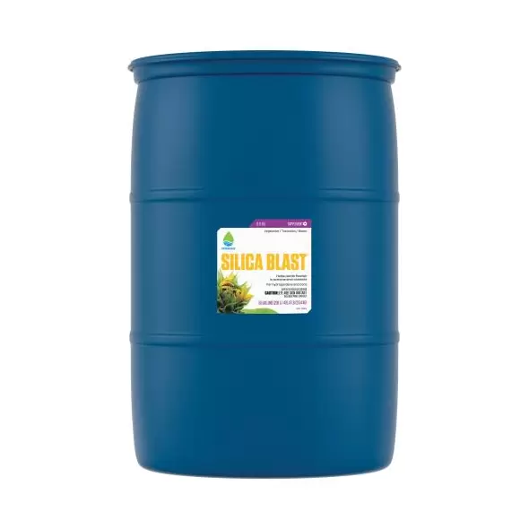 PURE BLEND TEA 55GAL/1