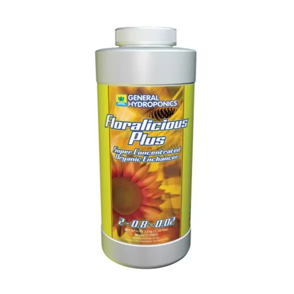 GH Floralicious Plus Pint (12/Cs)