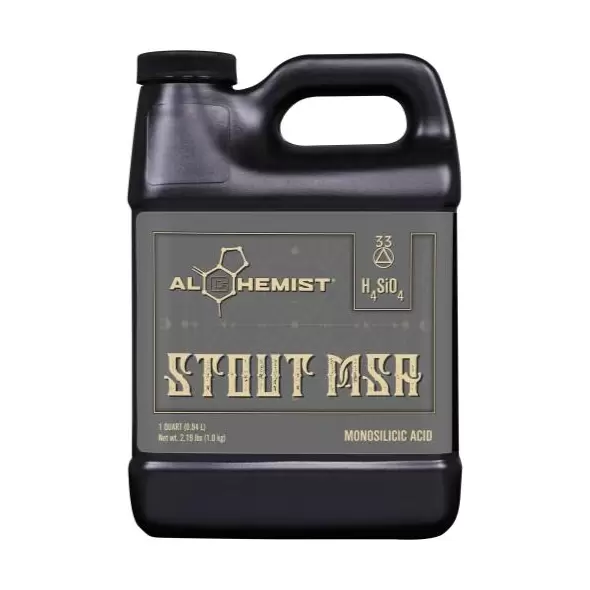 Alchemist Stout MSA Quart (12/Cs)