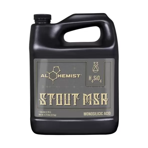 Alchemist Stout MSA Gallon (4/Cs)