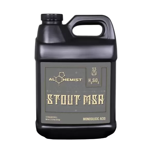 Alchemist Stout MSA 2.5 Gallon (2/Cs)