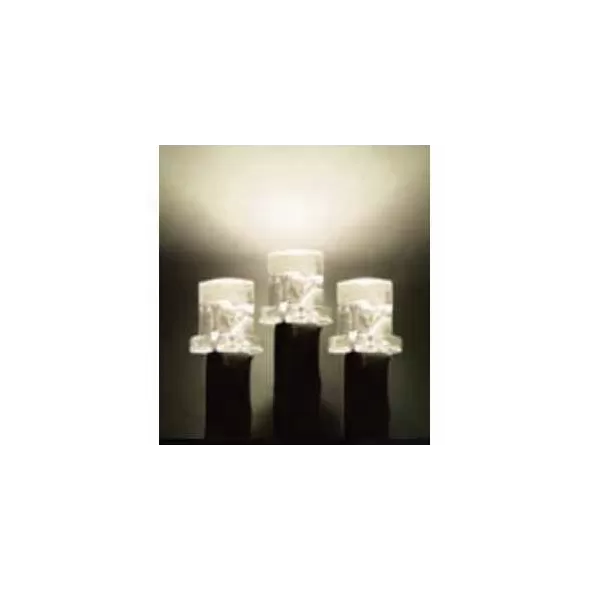 LED Rice Light Set, 73.8' 2" Spacing Warm White Plug-In Straight 8-Function Commercial Grade Clark Griswold