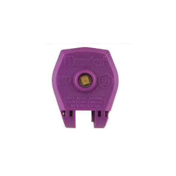 Quick Coupling Valve, 1"Female Red Brass 2-Piece with 1 Slot Locking Purple Lid