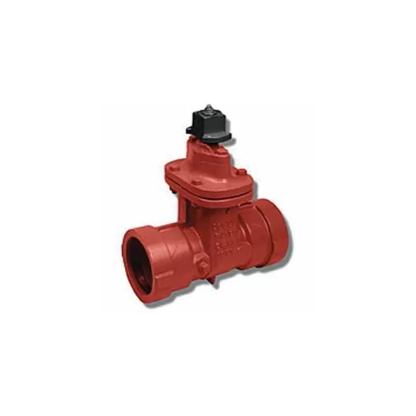 2-1/2" Push-On Red Epoxy Coated Cast Iron 200 psi 10RT Series Ring Tite Resilient Wedge Gate Valve | MAT10RT09
