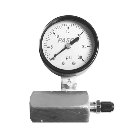 3/4" FPT 2" 0 - 30 psi Air Test Gauge Assembly | PAS1427