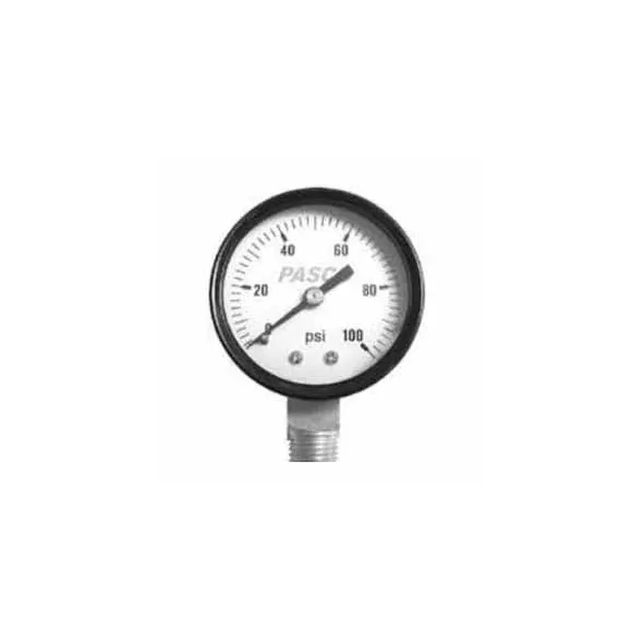 1/4" MPT 2-1/2" 0 - 100 psi Steel Case Pressure Gauge | PAS1741