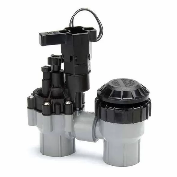 Rain Bird ASVF Anti-Siphon Valve with Flow Control 1" FPT | RBL100ASVF