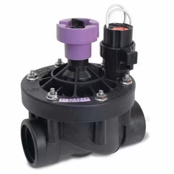 Rain Bird PESB In-Line Valve with Flow Control (Non-Potable) 1" FPT | RBL100PESBR