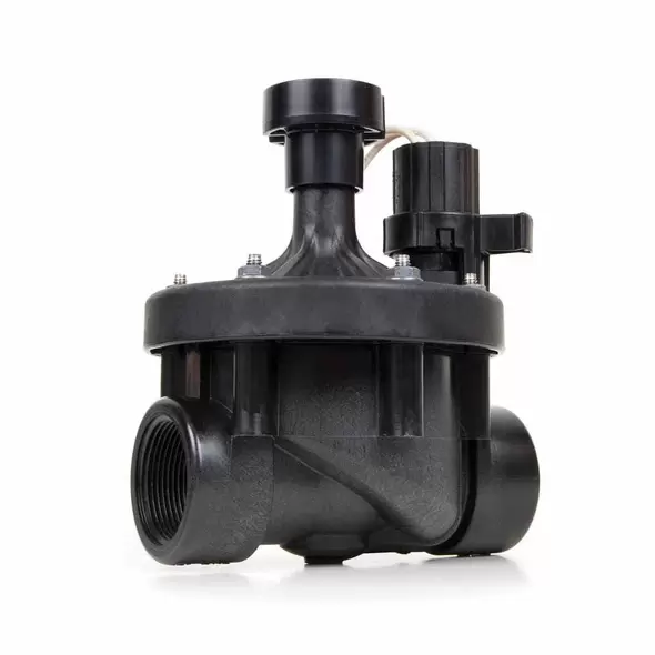 Rain Bird PESB In-Line Valve with Scrubber and Flow Control 2" FPT | RBL200PESB