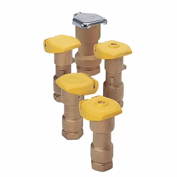 3/4" NPT Red Brass 5 - 125 psi 33DNP Series 2-Piece Non-Potable Quick Coupling Valve | RBL33DNP