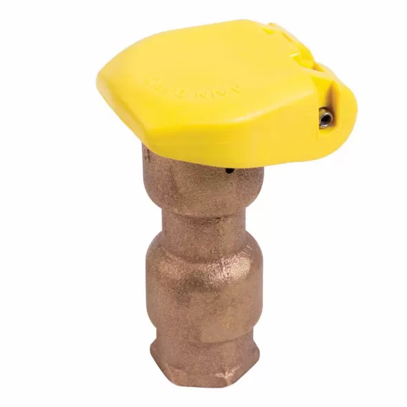 3/4" NPT Red Brass 5 - 125 psi 3RC Series 1-Piece Quick Coupling Valve | RBL3RC