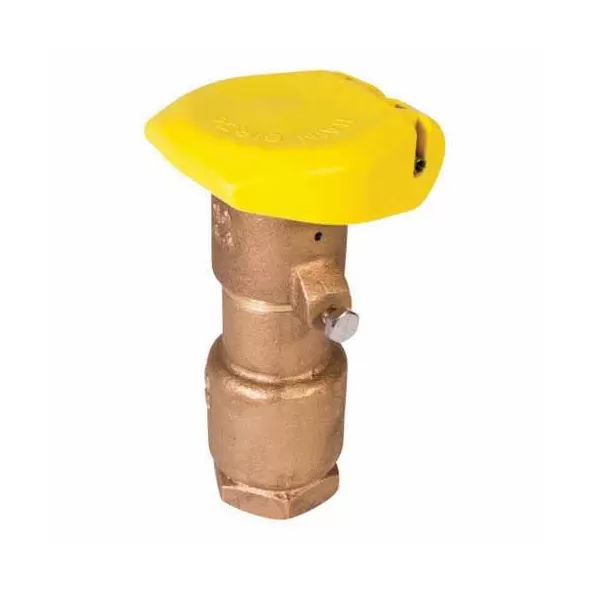 Rain Bird QCV Two Piece Quick Coupling Valve 1" x 3/4" | RBL44RC
