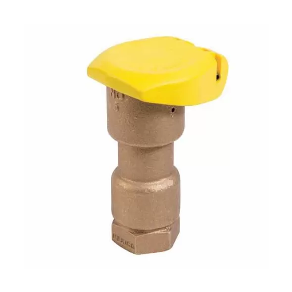 1" BSPT Red Brass 5 - 125 psi 5RC Series 1-Piece Quick Coupling Valve | RBL5RC