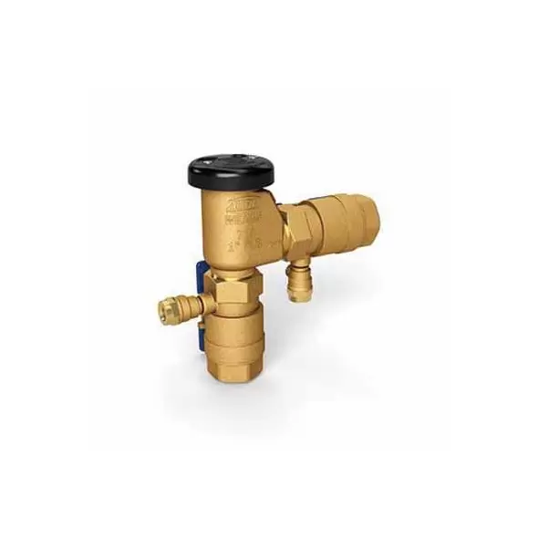 Wilkins 710 PVB Backflow Preventer 1" FPT | WLK710010