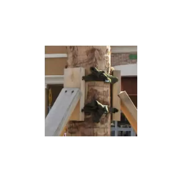 with Polypropylene Strap For Palm Tree Brace Palm Brace Kit | ARBAPBKS