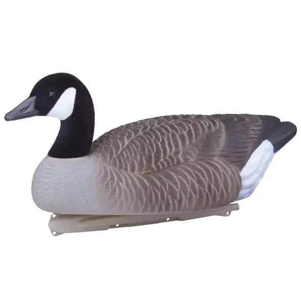 24" 2 Floater Standard Canada Goose | FLBGOOSE