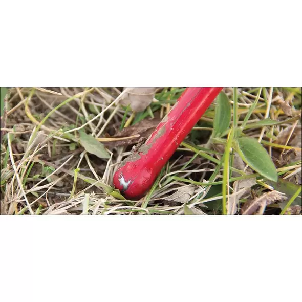 48" T-Handle Ball Bearing Probe | KNG25210