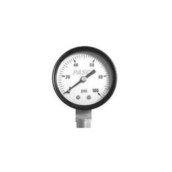 100 lb 2" Dial 1/4" MPT Pressure Gauge | PAS1729